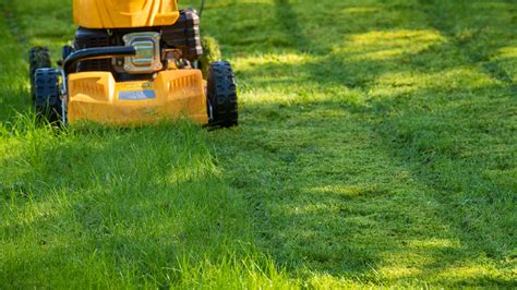 Cutting Grass In Hot Weather Can Do More Damage Than