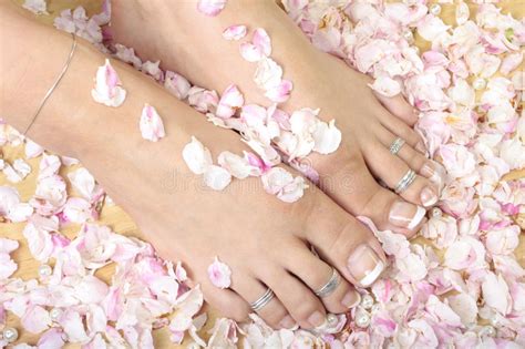 Woman S Feet And Rose Petals Stock Photo Image Of Therapeutic Feet