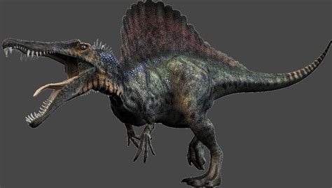 Spinosaurus Aegyptiacus Wiki Mesozoico