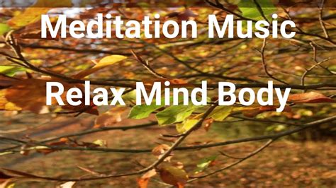 Meditation Music Relax Mind Body Vol296 Youtube
