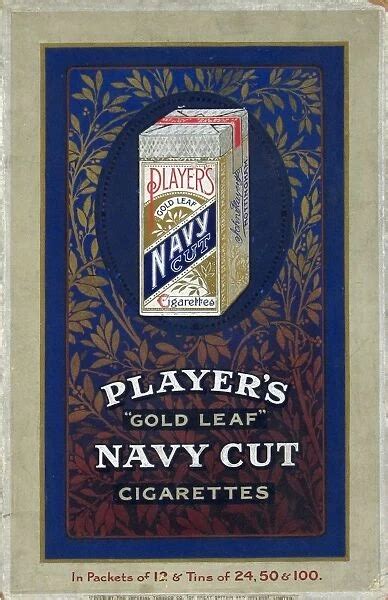 Navy Cut Gold Leaf Cigarettes 192021 Print 5870473 Cards