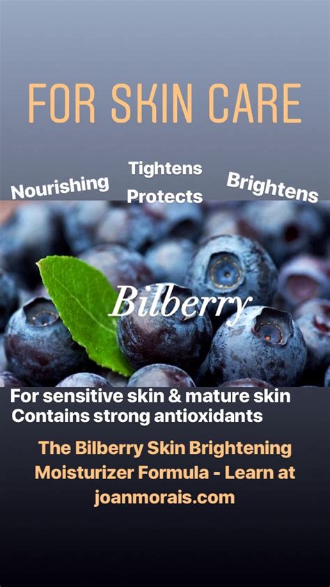 Bilberry In Skin Care Products Joan Morais Cosmetics School Skin