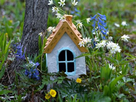 Plant Ideas For A Fairy Garden Plants That Attract Fairies To The Garden