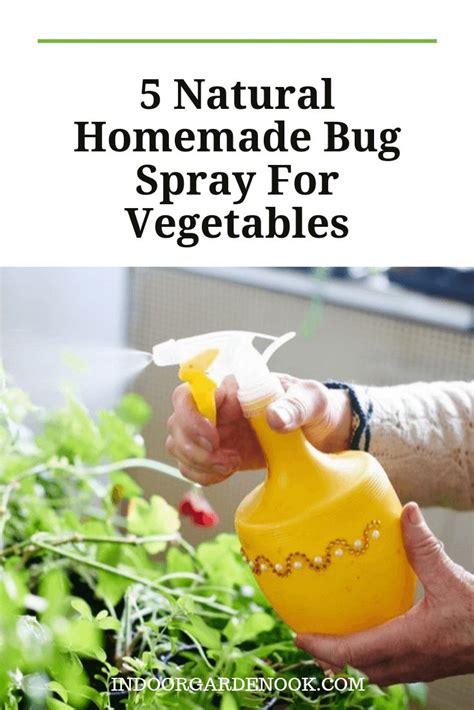 Houseplant Care For Beginners Todays Gardener Homemade Bug Spray