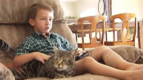 Viral Video Cat Saves Bakersfield Boy Boy Talks About Dog Attack
