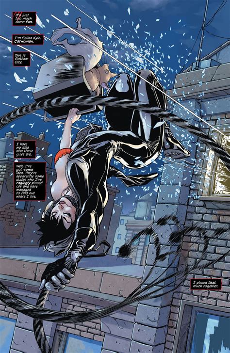 Catwoman 2011 Vol 1 The Game Dc Entertainment Catwoman