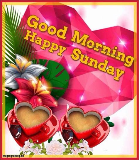 Collection Of Over 999 High Quality Good Morning Happy Sunday Hd Images
