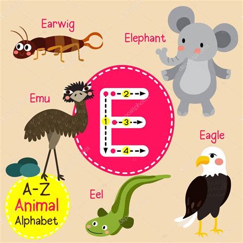 What chocolate candy starts with the letter. Dibujos: animal llama en ingles | Trazo de letra de ...