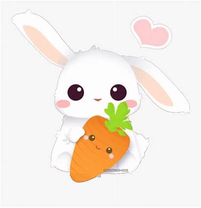 Bunny Kawaii Rabbit Carrots Clipart Clipartkey