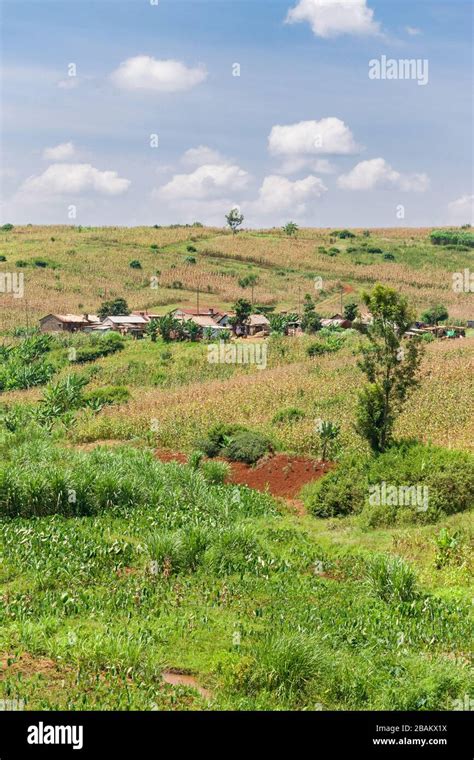 A Small Rural Village On A Hill With Farm Land Around It Kenya Stock