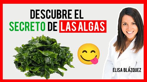 No Te Lo Vas A Creer Las Algas Realfood Elisa Bl Zquez Nutricionista Youtube