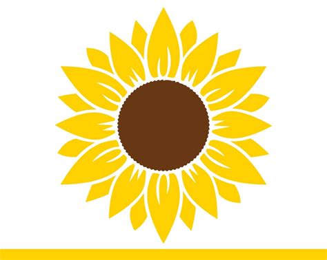 32+ Transparent Sunflower Svg Free Background Free SVG files