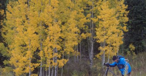 Where to find best fall colors in Colorado