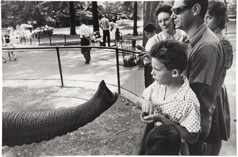 Garry Winogrand 19281984 Bronx Zoo New York 1963 Christies