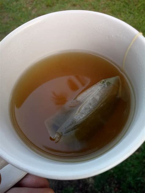 Jadi biarlah perlahan, tetapi berterusan dan mendatangkan kesan. Teh Hijau Untuk Kurus Dan Kempiskan Perut, Minum Setiap ...
