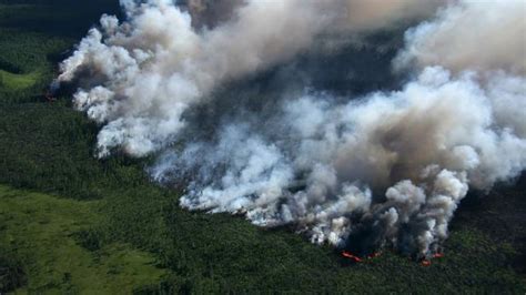 Langkah langkah mitigasi kebakaran hutan adalah. Sebutkan Langkah Langkah Untuk Menghindari Bahaya ...