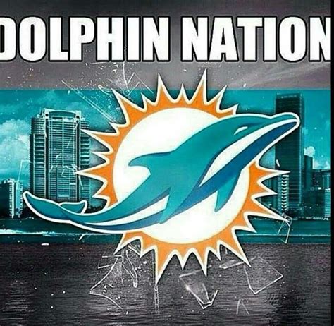 Miami Dolphins Logo Miami Dolphins Cheerleaders Dolphins