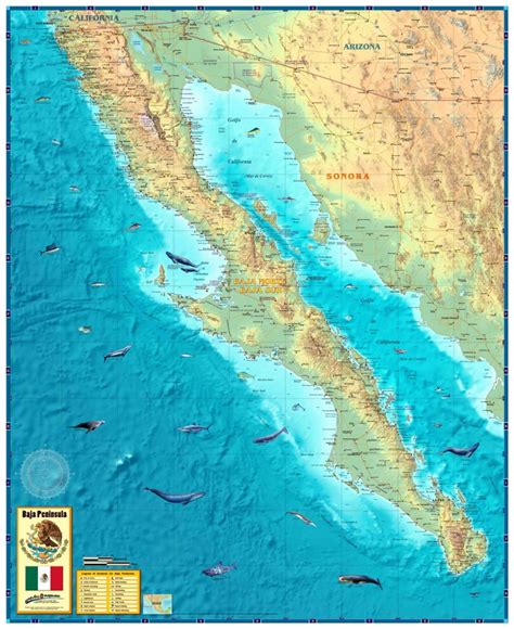 Baja California Topographic Maps Printable Maps