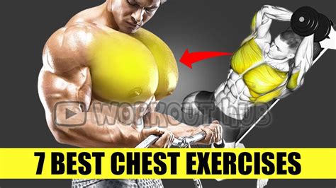 chest workout 7 best chest exercises with dumbells only youtube