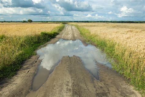 Reflection Of Clouds In A Puddle On Dirt Road Through Fields Stock