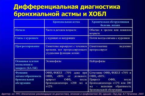 Стол диета бронхиальная астма Стол диета бронхиальная астма