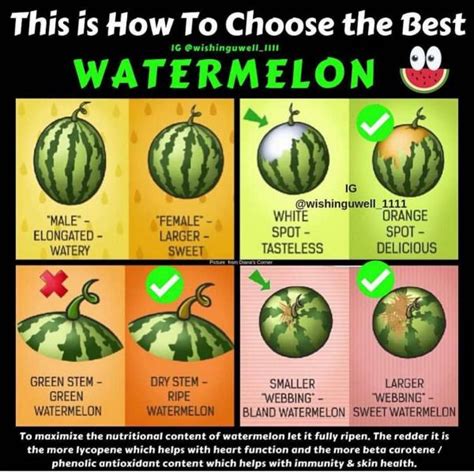 How Do You Know When A Watermelon Goes Bad Dane101