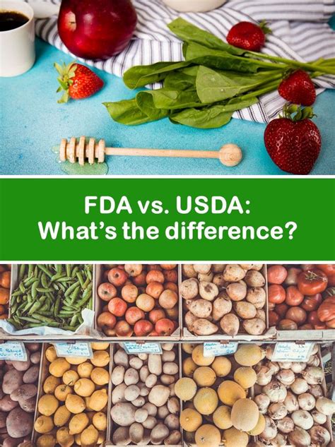Fda Vs Usda Whats The Difference Usda Food Science Food