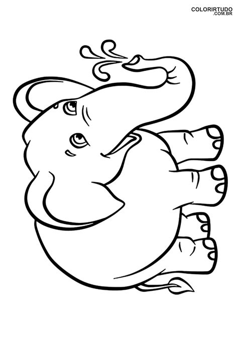 Desenhos Elefante Para Colorir E Imprimir Colorir Tudo