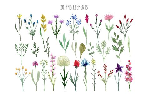 Watercolor Wildflowers By Slastick On Creativemarket Wildflower