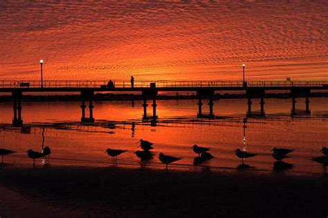 Gulfport Pier Sunrise Photograph By Nick Nicks