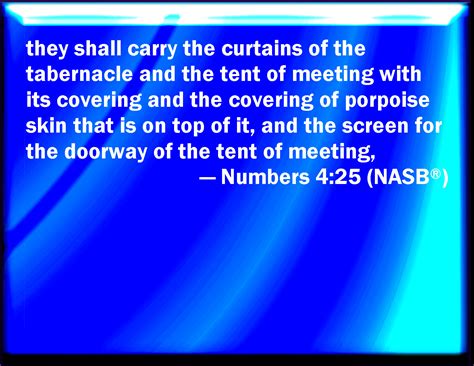 Numbers 425 And They Shall Bear The Curtains Of The Tabernacle And