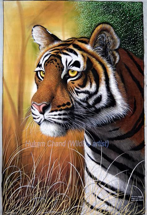 Tigers Side Face Painting By Hukam Chand Wildlife Artist
