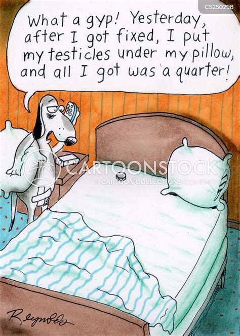 vasectomy cartoons and comics funny pictures from cartoonstock