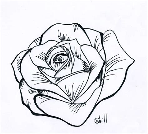 A Cartoon Rose