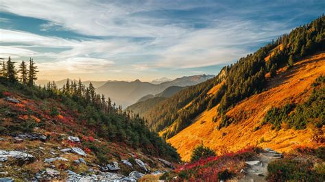 Spectacular Autumn Tree Mountains View - Nature HDR Photography