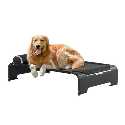 Pawhut Elevated Dog Bed W Removable Pillow Raised Pet Bed W Steel