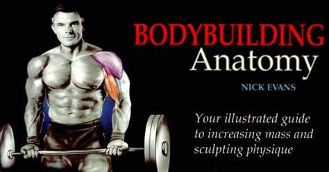 Top 2 Best Bodybuilding Workout Books For Free Bodydulding