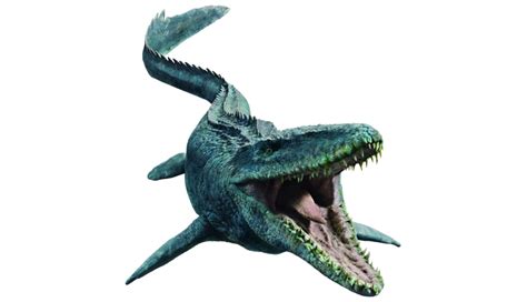 Jurassic World Mosasaurus Render 2 By Tsilvadino On Deviantart