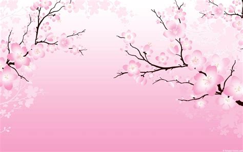 Pink Cherry Blossom Wallpapers On Wallpaperdog