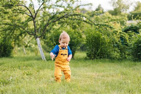 Happy Baby Outdoors Toddler Walks In The Summer Garden Stock Image