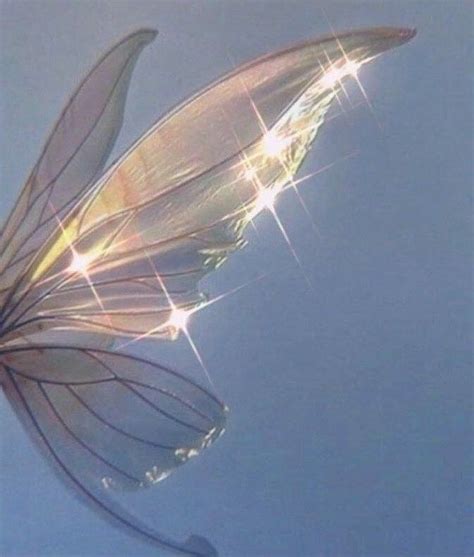 Pin By Duru On Wings Fairy Wings Fae Aesthetic Angel Aesthetic