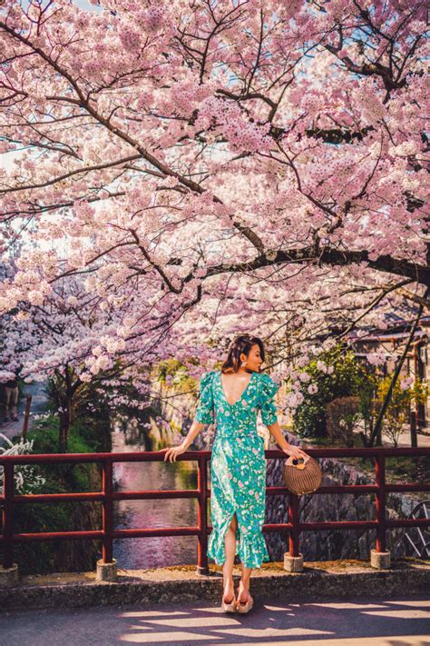 Instagrammable Spots In Japan 7 Gorgeous Spots For