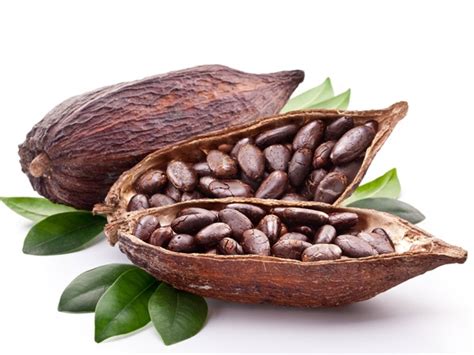 Health Benefits Of Cocoa Beans Buzz