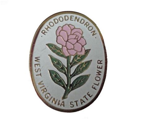 West Virginia Rhododendron Vintage Enamel Lapel Pin Etsy Enamel
