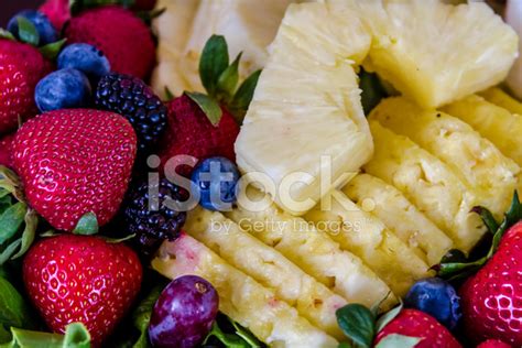 Assorted Fruit And Cheese Tray Stock Photo Royalty Free Freeimages