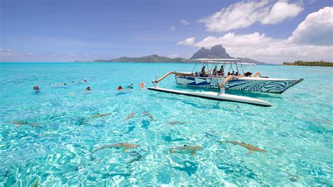 The Best Bora Bora Vacation Packages 2017 Save Up To C590 On Our