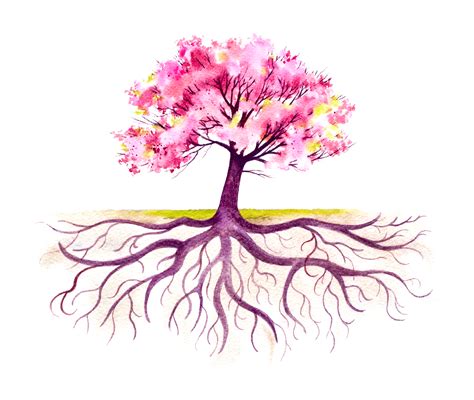33 Free Clipart Tree With Roots Collection