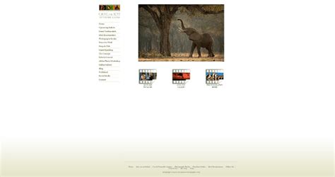 Best African Wildlife Photography Websites And Photographers