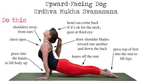 Do This Not That Upward Facing Dog Urdhva Mukha