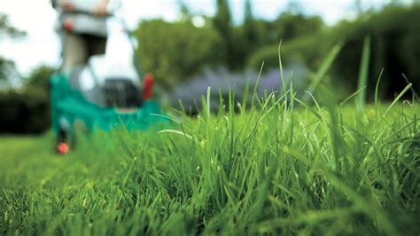 7 inspiring gardening tips from around the world | Bosch DIY